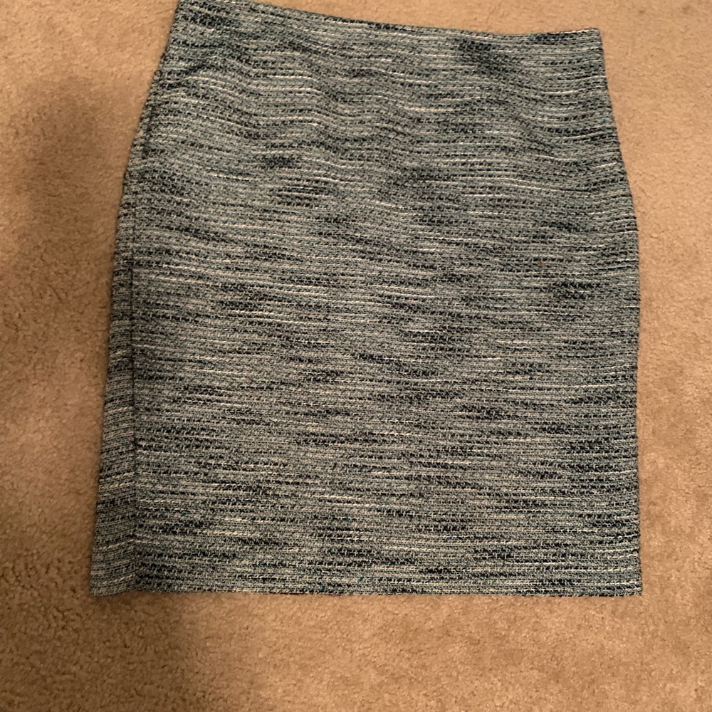 Ann Taylor skirt